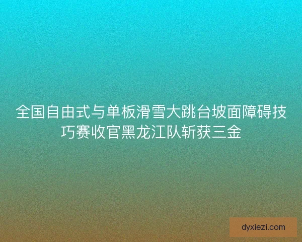 全国自由式与单板滑雪大跳台坡面障碍技巧赛收官黑龙江队斩获三金