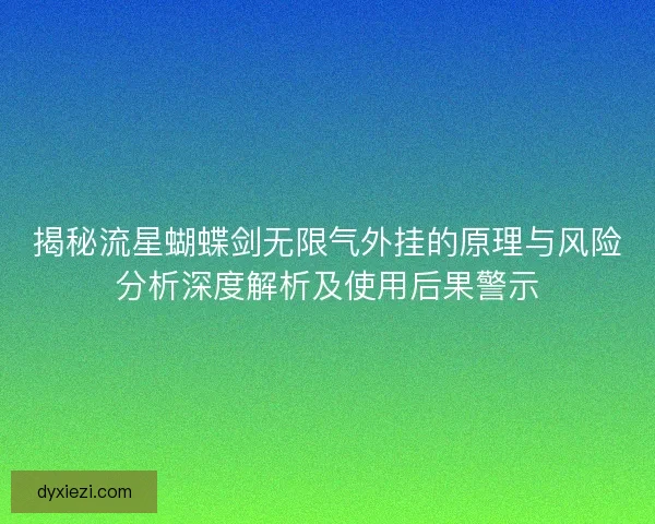 揭秘流星蝴蝶剑无限气外挂的原理与风险分析深度解析及使用后果警示