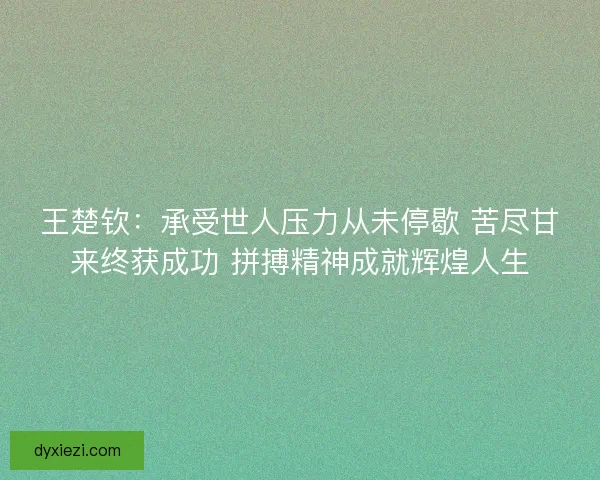 王楚钦：承受世人压力从未停歇 苦尽甘来终获成功 拼搏精神成就辉煌人生