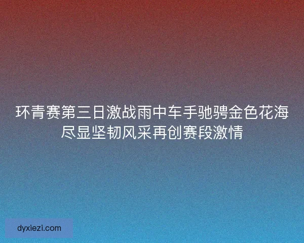环青赛第三日激战雨中车手驰骋金色花海尽显坚韧风采再创赛段激情 环青赛第三日激战雨中车手驰骋金色花海尽显坚韧风采再创赛段激情